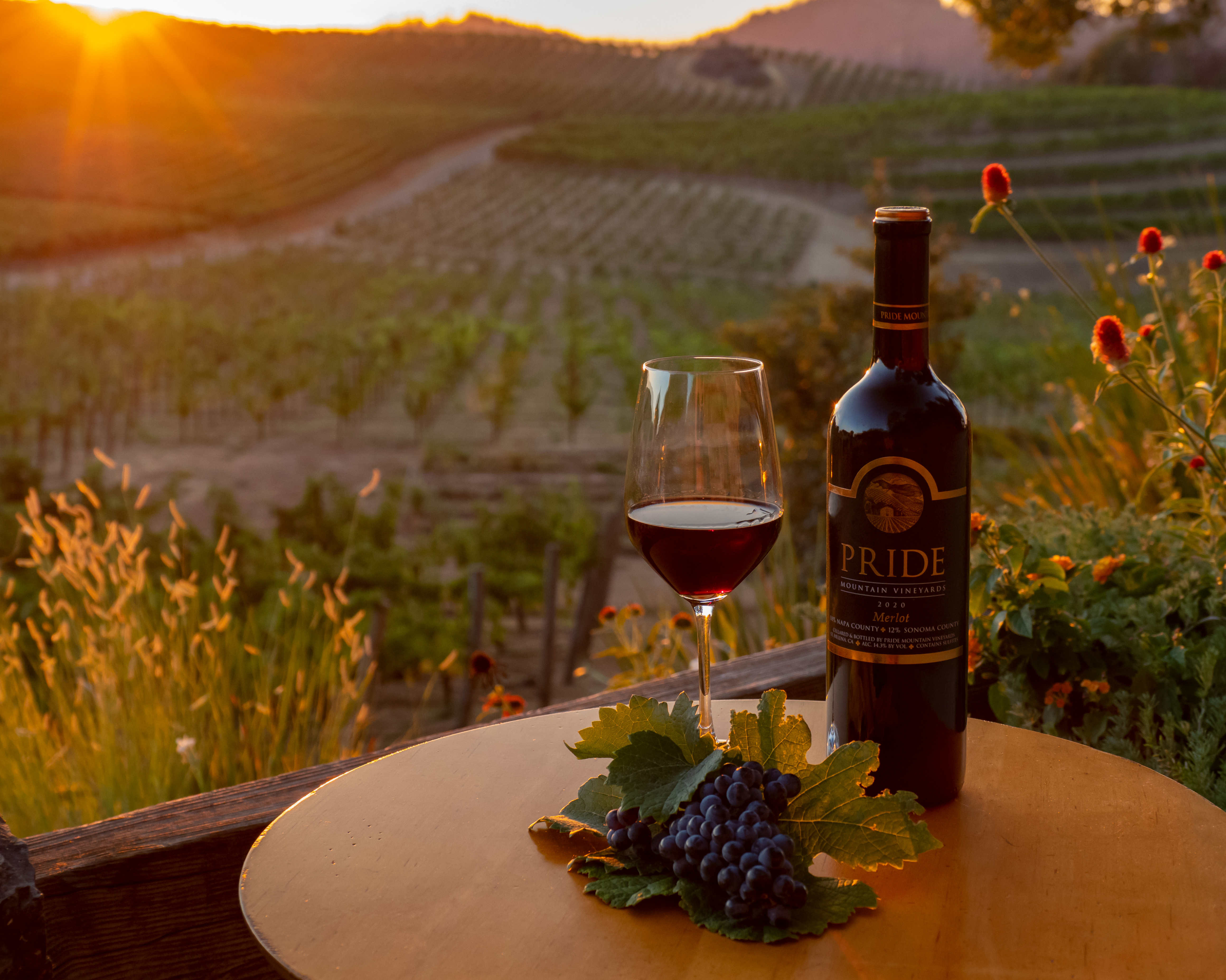 Pride Wines News Image